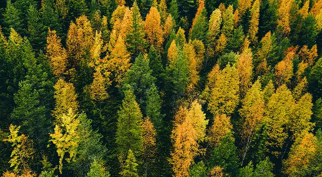 Other Tools : Payment Portal