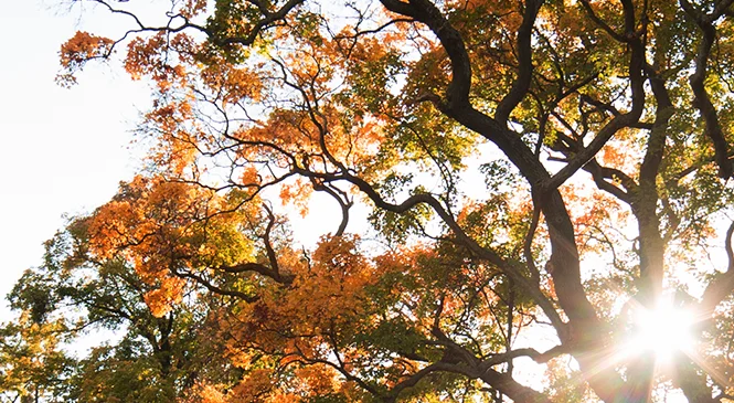 The Practice : About Dr. John Markey